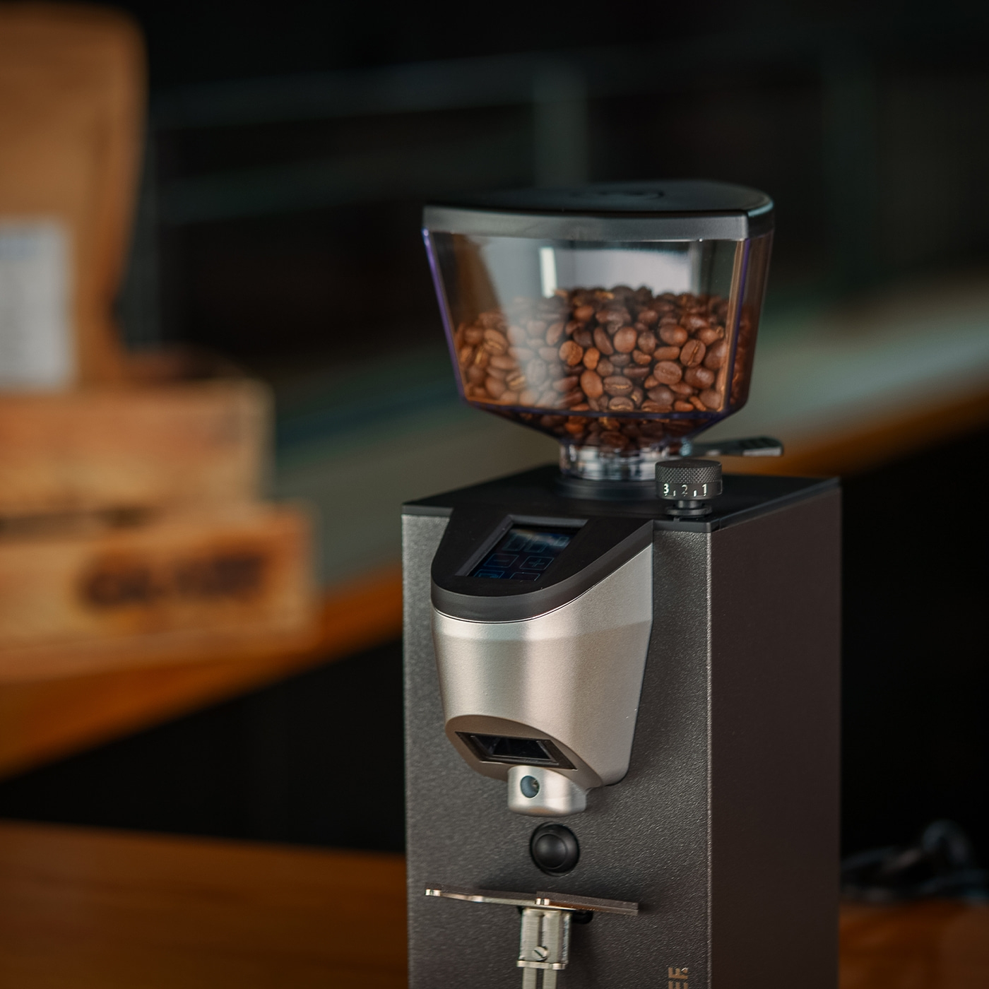 Coffee grinder CM1116 extra quiet, with disc grinder