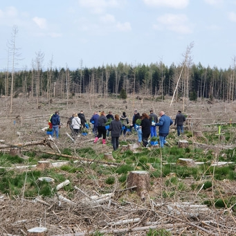 Groupe de personnes plantant des arbres dans une zone déboisée, action environnementale.