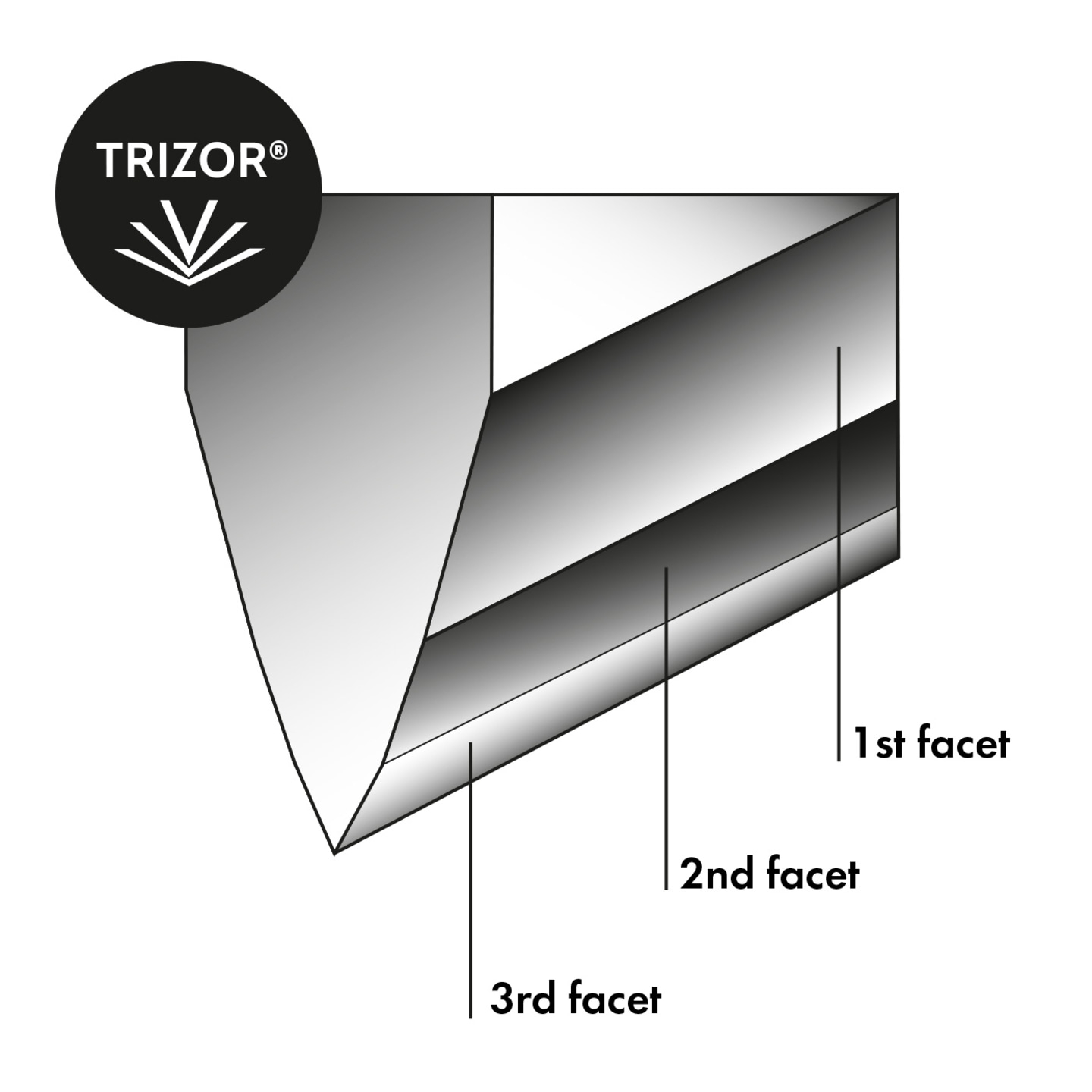 Diagram of three facets with the TRIZOR® logo in black and white.